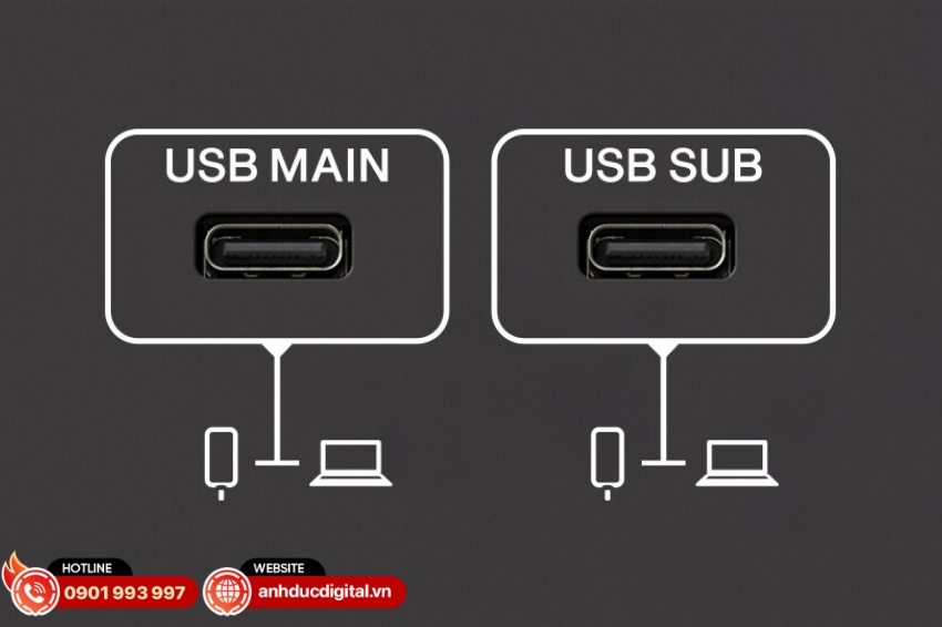 URX44 hỗ trợ hai cổng USB hoạt động độc lập