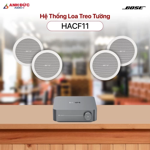 Hệ Thống Âm Thanh Cafe Bose HACF11 (Chính Hãng)
