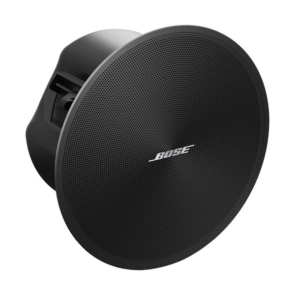 Bose DesignMax DM3C