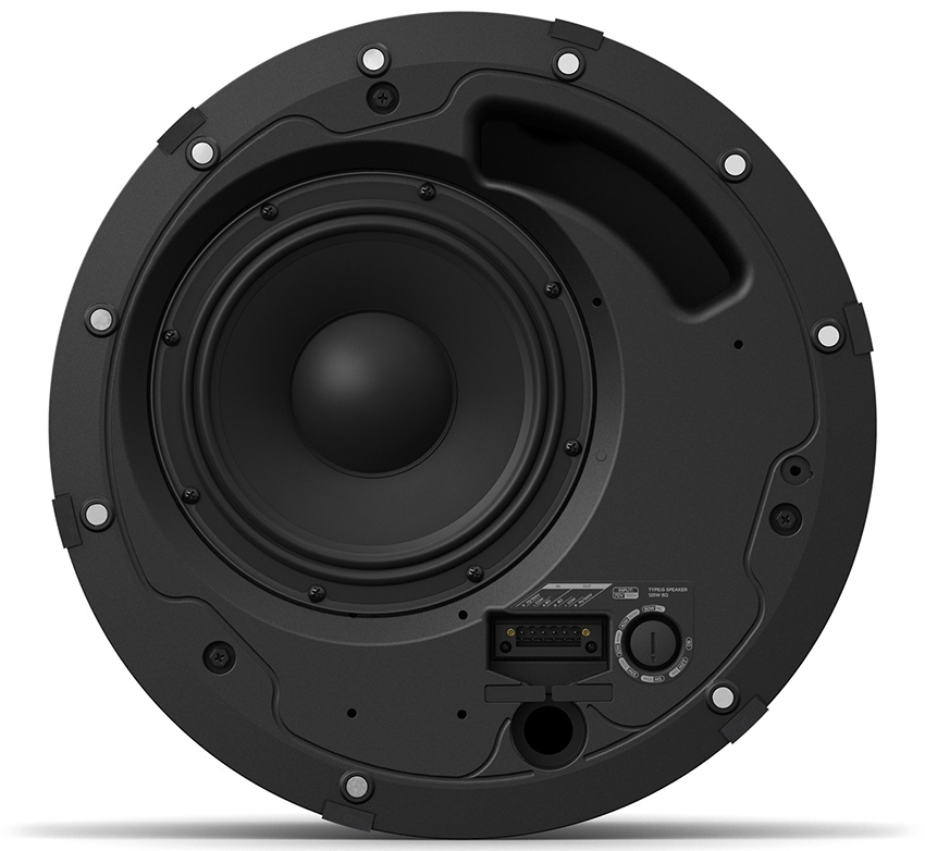 Bose DesignMax DM8C 3
