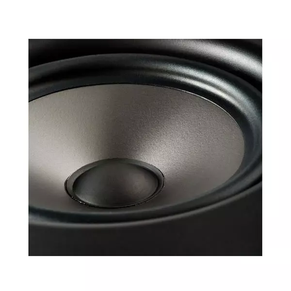 loa-polk-audio-v65 4