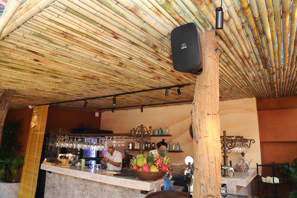 Loa Alpha Works AW52 2