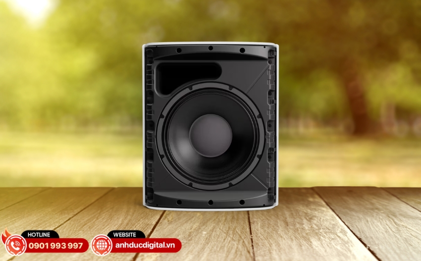 Bose Professional DesignMax DM12SE sử dụng cấu trúc đồng trục 2 đường tiếng với woofer 12 inch