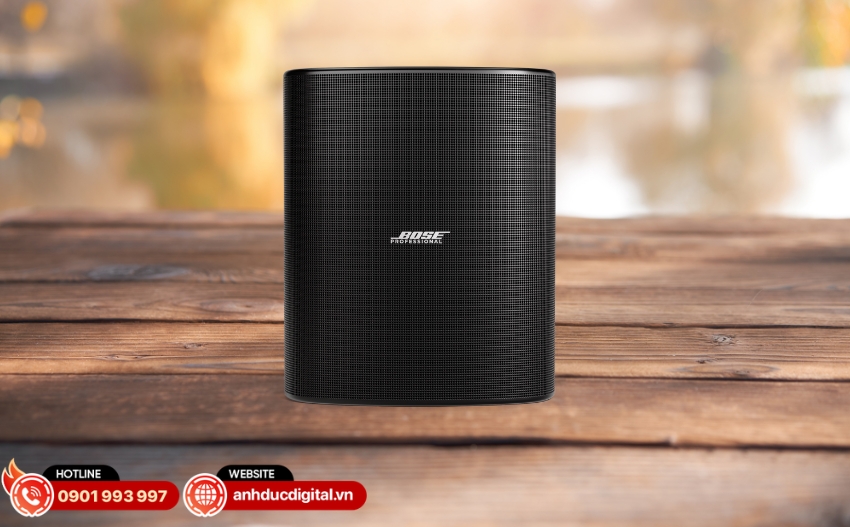 Loa Bose Professional DesignMax DM12SE có khả năng tái tạo dải tần rộng từ 38 Hz đến 20 kHz