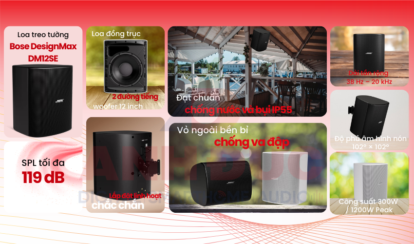 Bose Professional DesignMax DM12SE