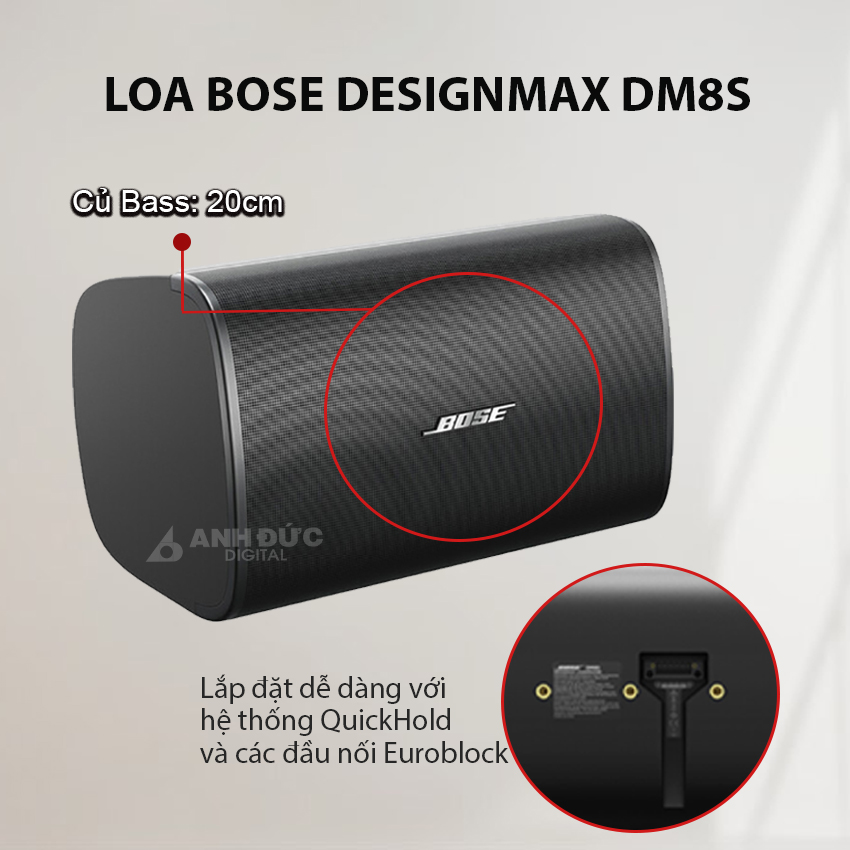 Bose DesignMax DM8S 15