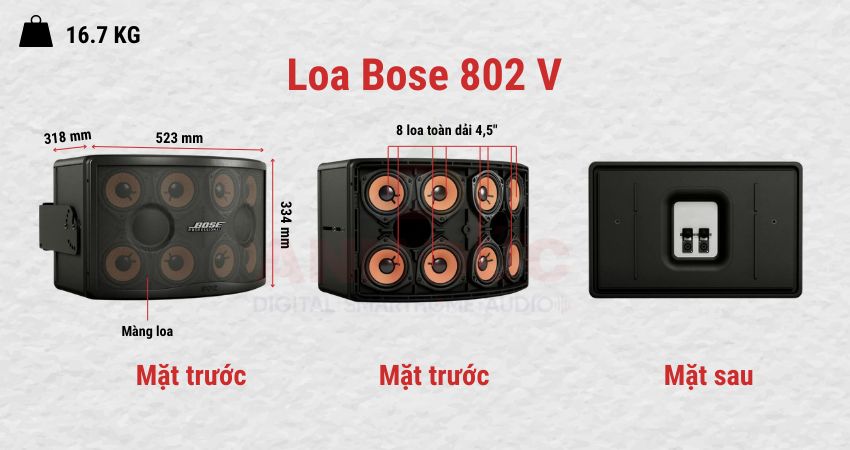 Loa Bose 802 V Black