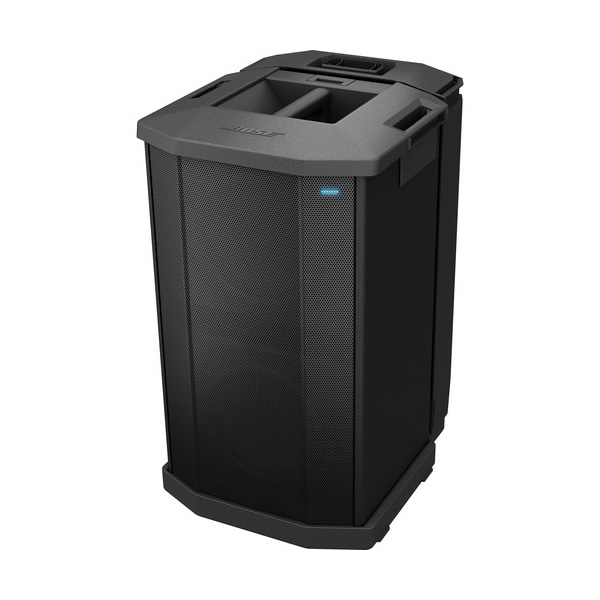Bose F1 812 Subwoofer 5