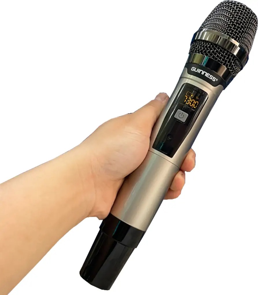Guinness M-810S 05