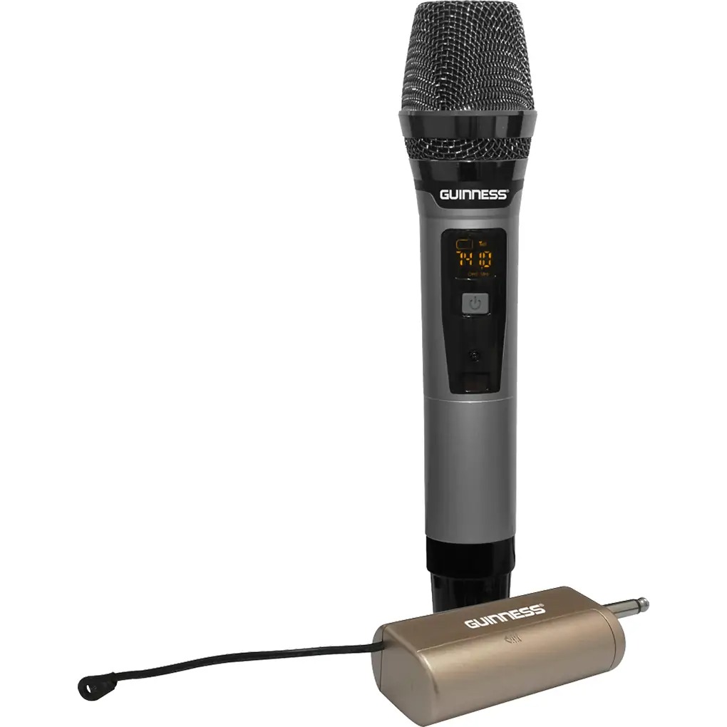 Guinness M-810S 06