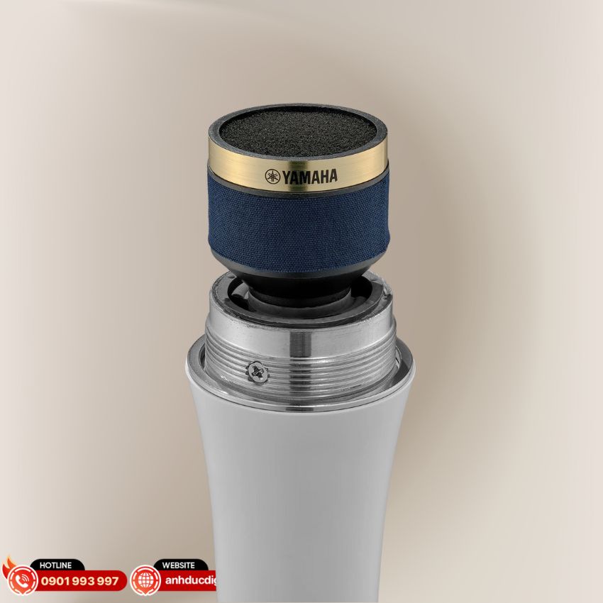 Viên nang Super Cardioid chống hú hiệu quả