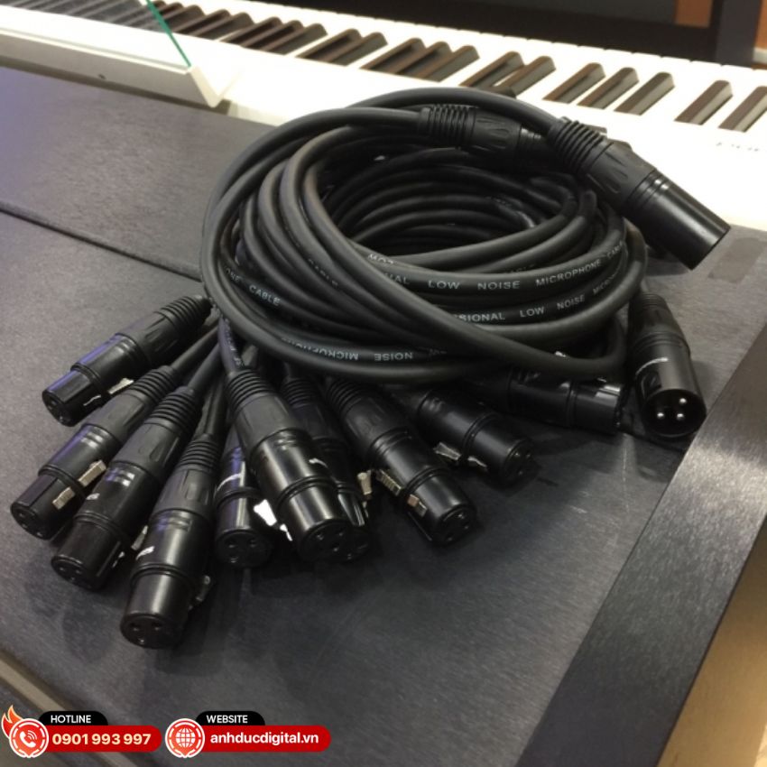 Jack canon cái Soundking CA117