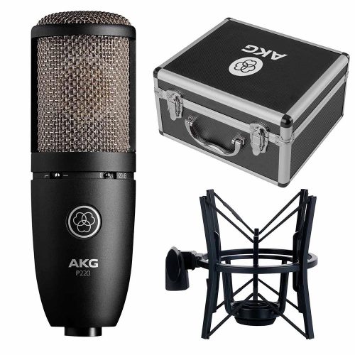 Micro AKG P220 3
