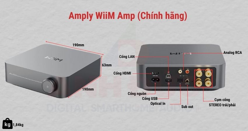 WiiM Amp và các cổng kết nối