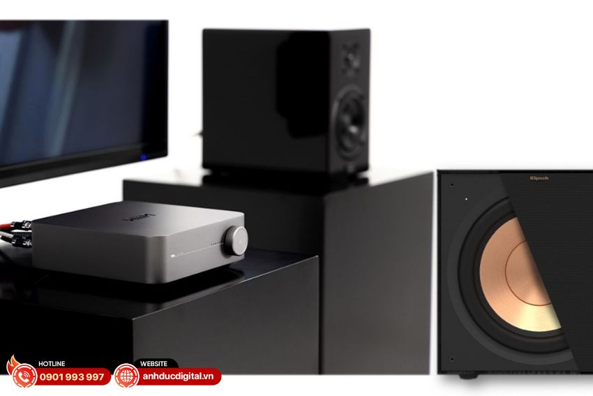 Amply WiiM Amp cùng các sản phẩm loa