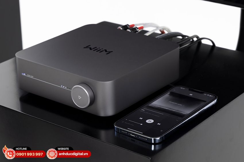 Khả năng phát nhạc trực tuyến của Amply WiiM Amp