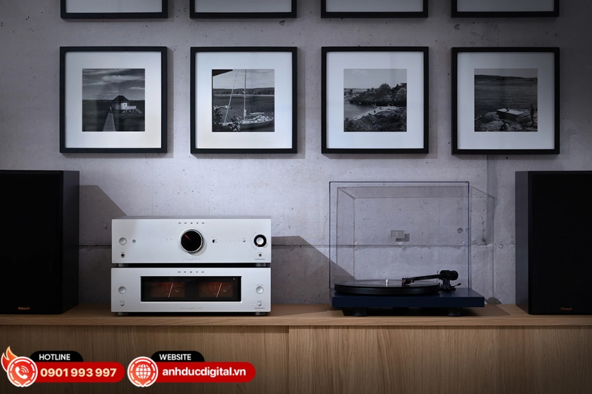 Ampli Onkyo M-80 được trang bị hai chuẩn kết nối analog