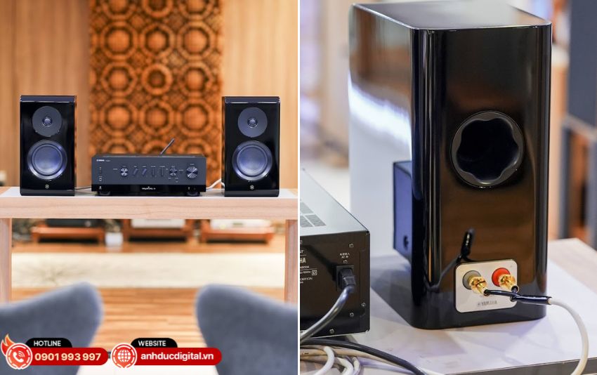 dan-nghe-nhac-yamaha-dbyo1-8