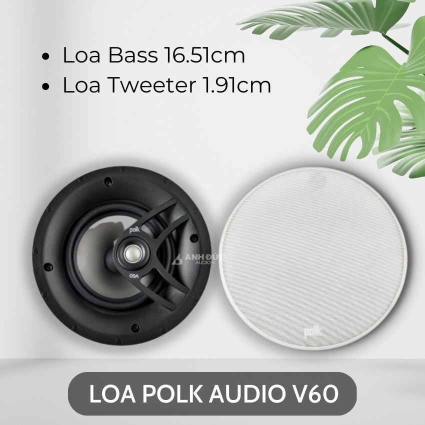 Loa âm trần POLK V60