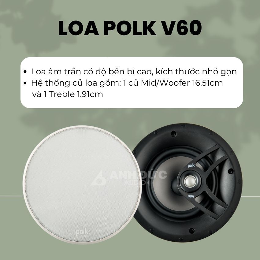 POLK V60 21