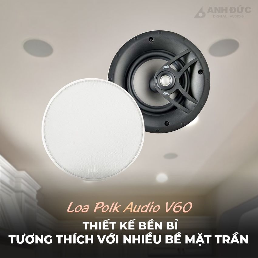 POLK V60 22