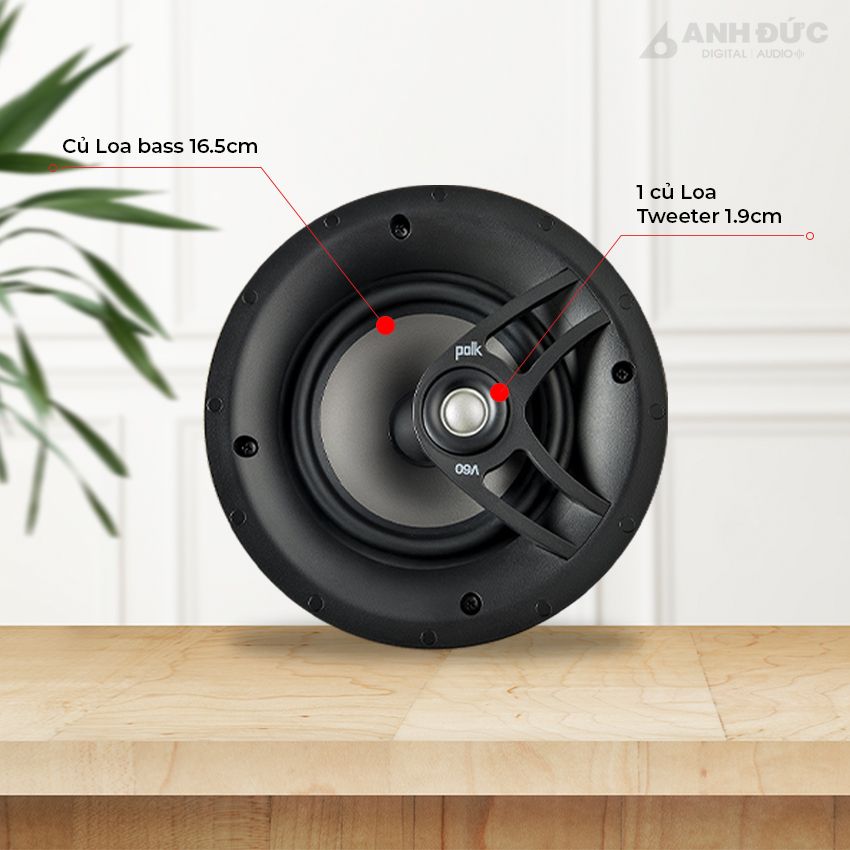 POLK V60 23