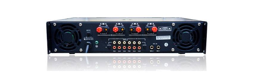 Amply Audiofrog D300P