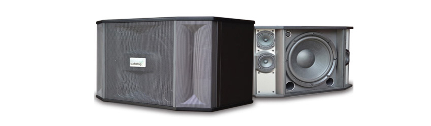 Loa Audiofrog M10F