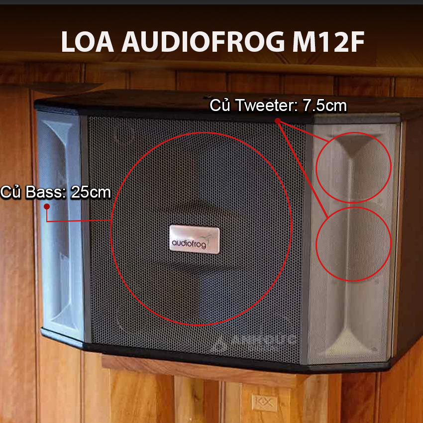 loa audiofrog m12f 12