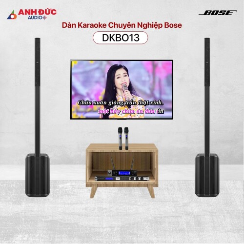Dàn Karaoke Chuyên Nghiệp Bose DKBO13 (Chính hãng)