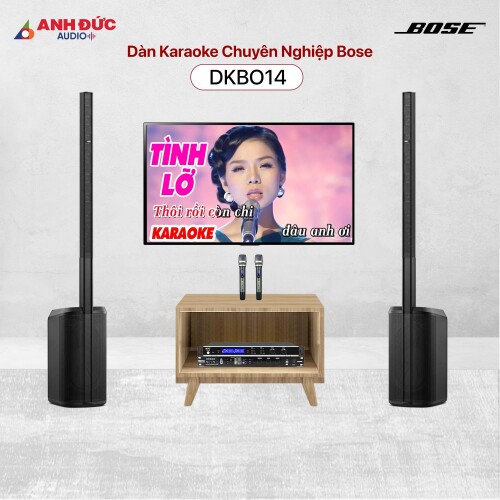 Dàn Karaoke Chuyên Nghiệp Bose DKBO14 (Chính Hãng)