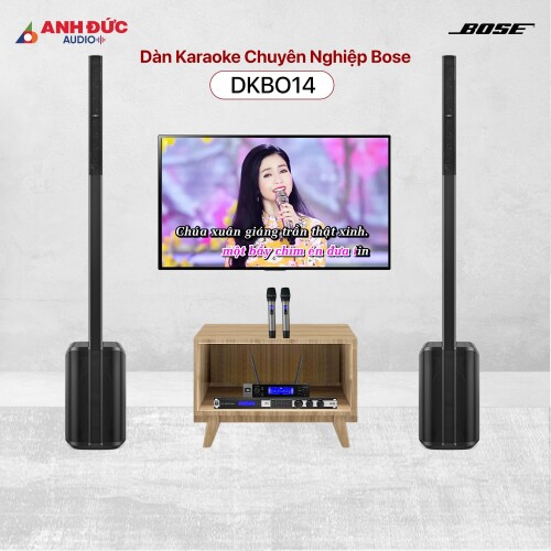 Dàn Karaoke Chuyên Nghiệp Bose DKBO14 (Chính Hãng)