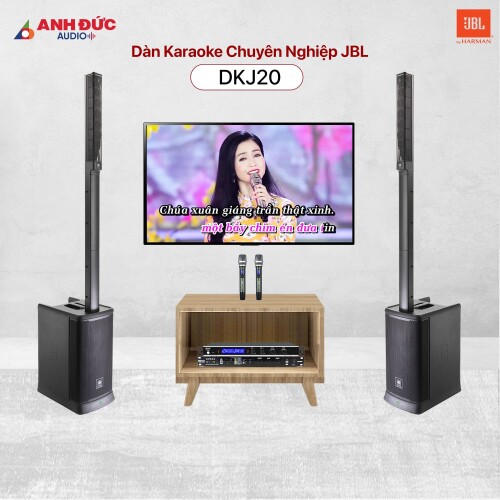 Dàn Karaoke Chuyên Nghiệp JBL DKJ20 (Chính hãng)