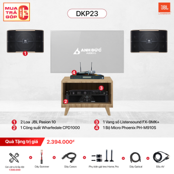 Dàn Karaoke Gia Đình JBL DKP23 (Chính Hãng)