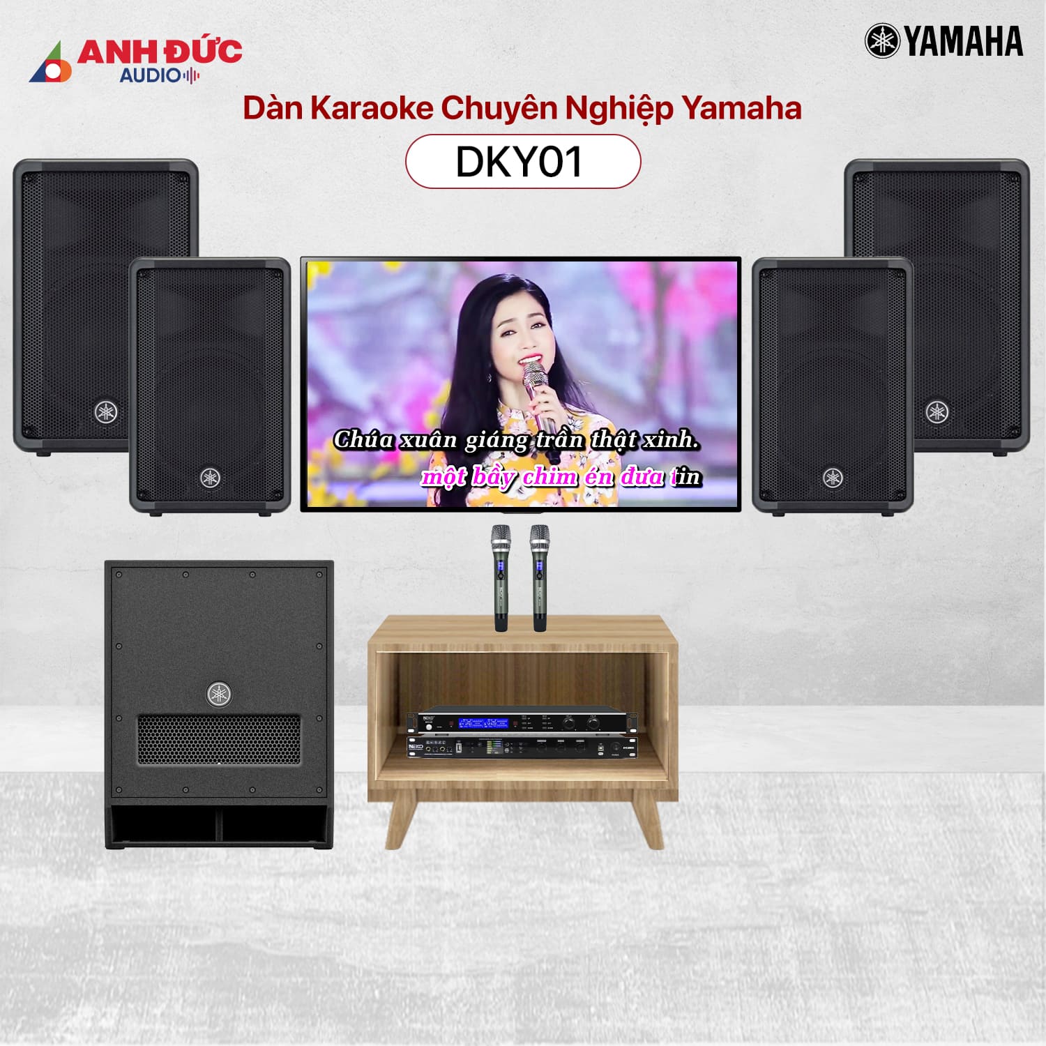 Mua Dàn Karaoke Chuyên Nghiệp Yamaha DKY01