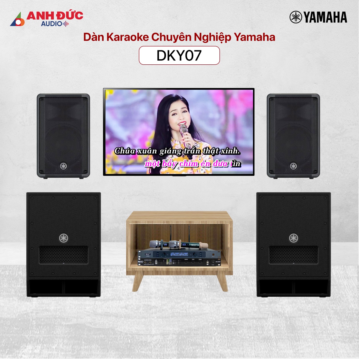 dan_karaoke_chuyen_nghiep_yamaha_dky07