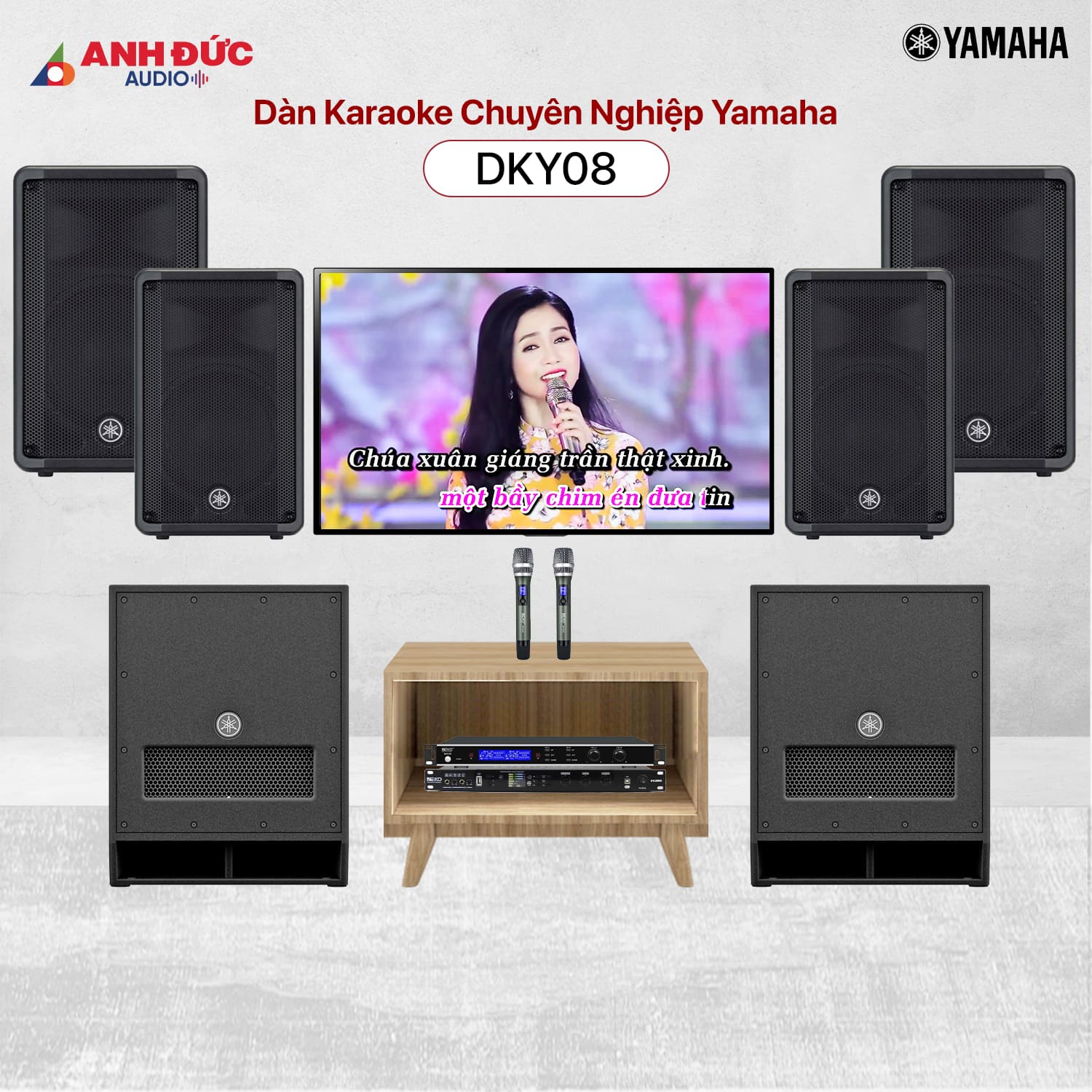 Mua Dàn Karaoke Chuyên Nghiệp Yamaha DKY08