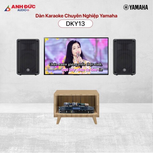 Dàn Karaoke Chuyên Nghiệp Yamaha DKY13 (Chính hãng)