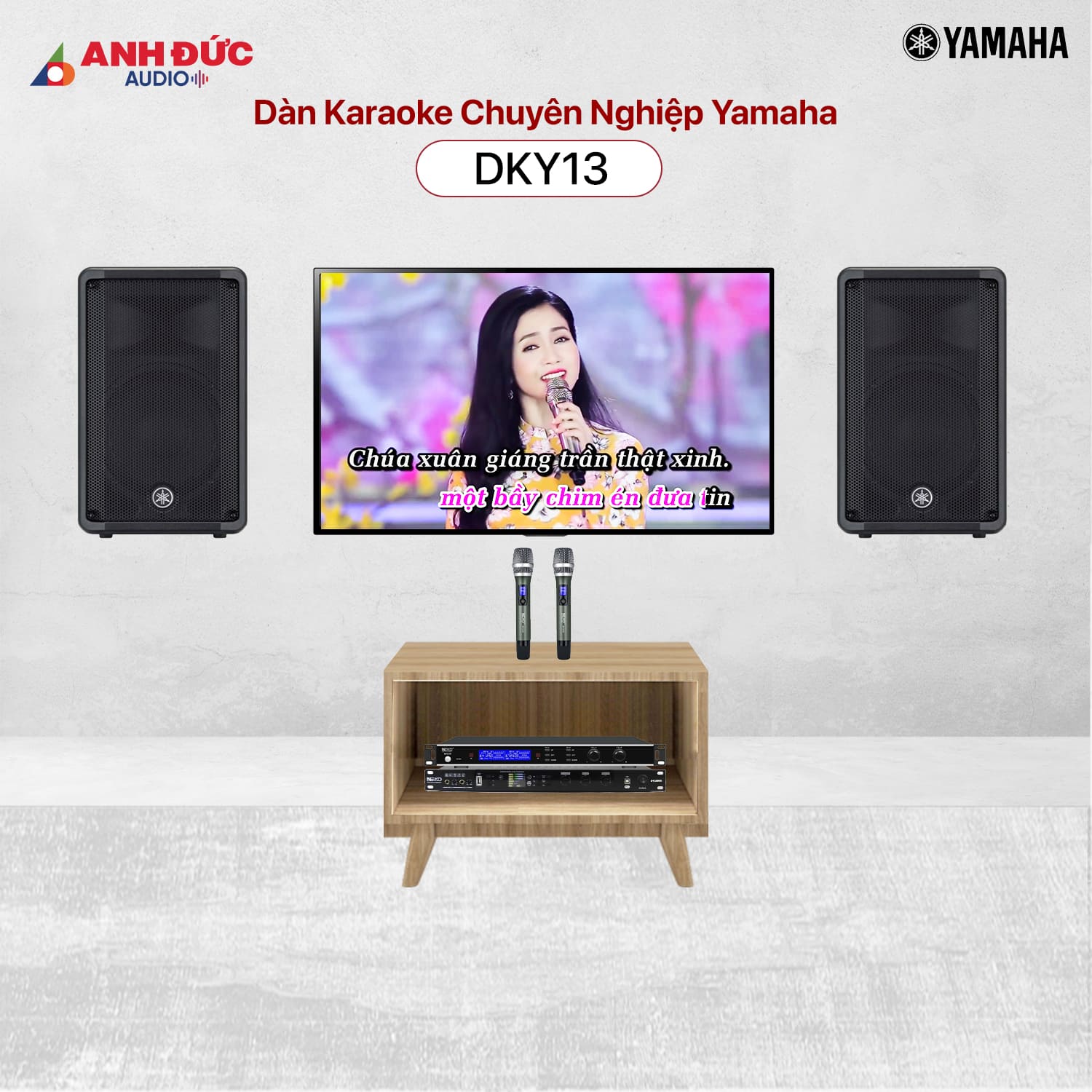 Mua dàn Karaoke Chuyên Nghiệp Yamaha DKY13
