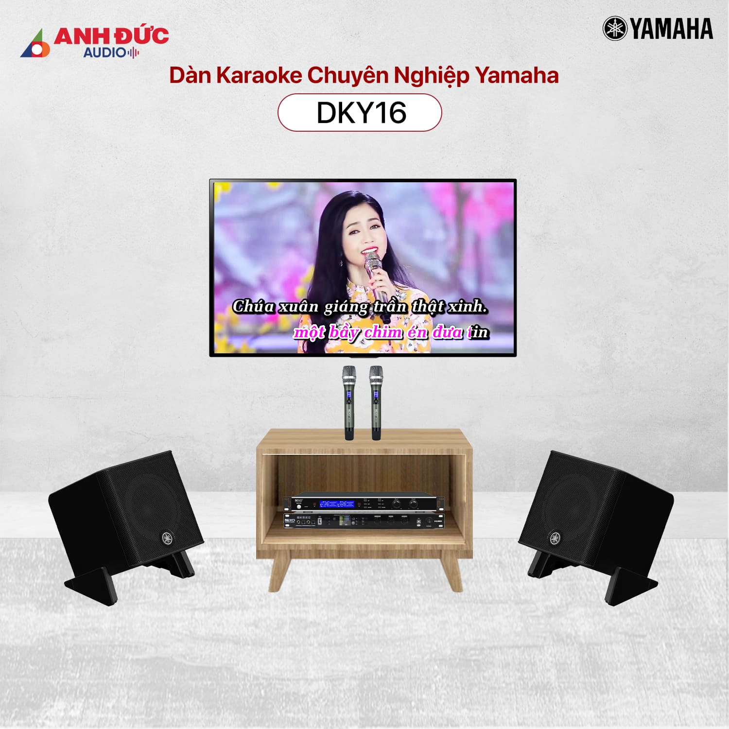 Mua Dàn Karaoke Chuyên Nghiệp Yamaha DKY16