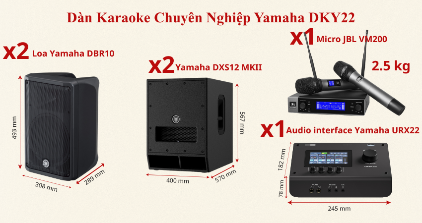 d&agrave;n Karaoke Chuy&ecirc;n Nghiệp Yamaha DKY22