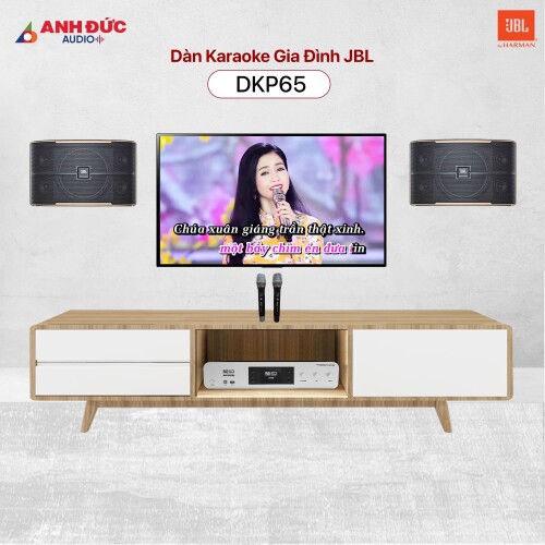 Dàn Karaoke Gia Đình JBL DKP65 (Chính Hãng)