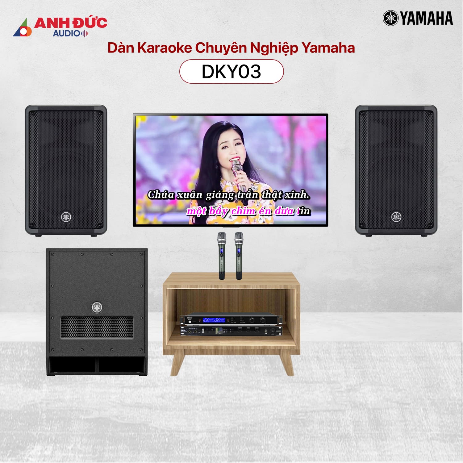 Mua Dàn Karaoke Chuyên Nghiệp Yamaha DKY03