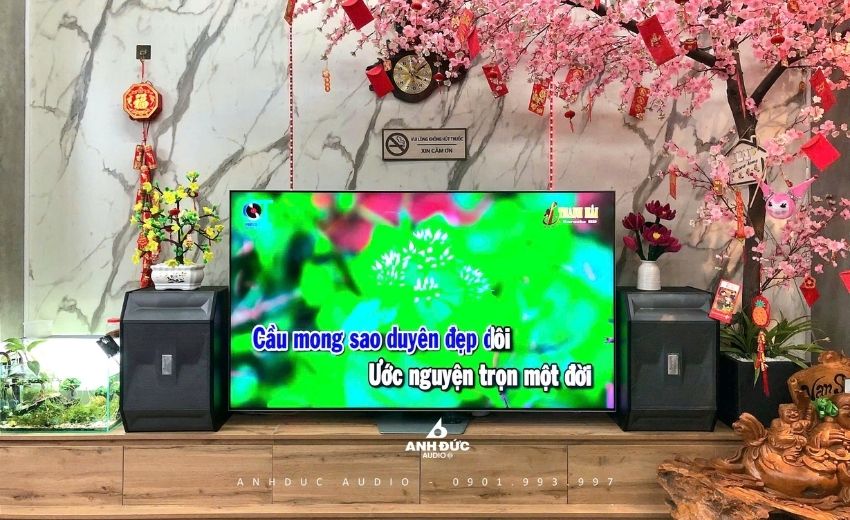 loa karaoke giá rẻ cho gia đình nhỏ