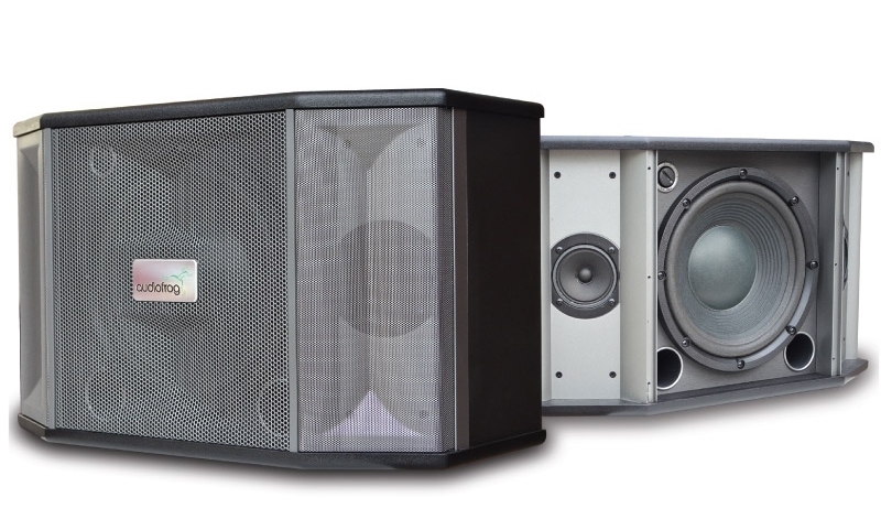Loa AudioFrog M10F