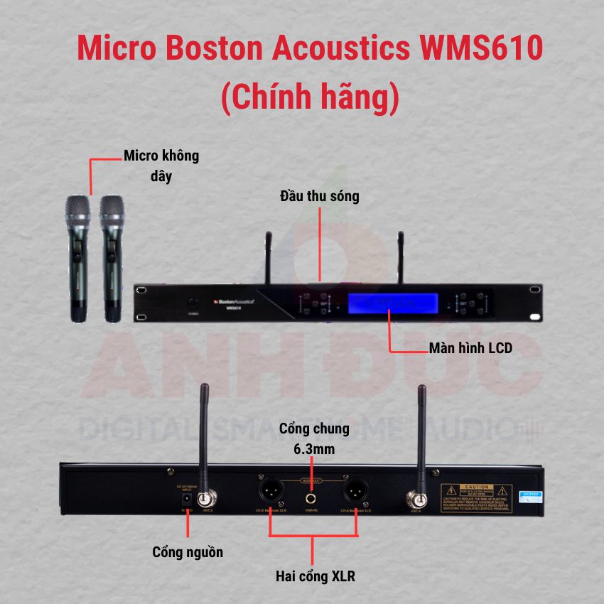 Thiết kế tổng quan sản phẩm Micro Boston Acoustics WMS610