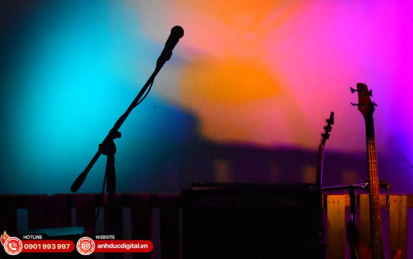 Micro karaoke có dây chất lượng cao như Shure SM58 và Yamaha YDM505S