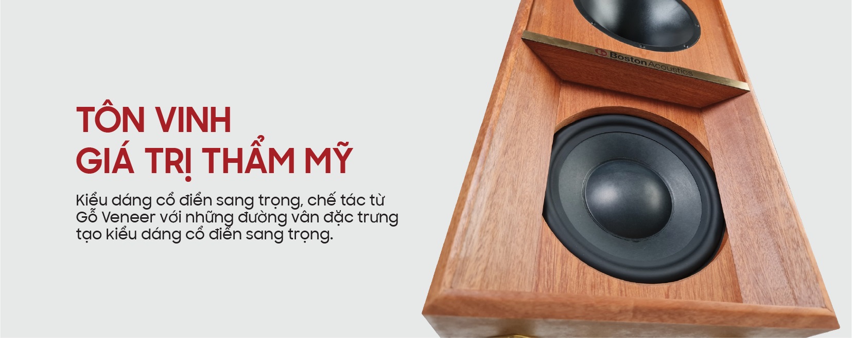 Loa Boston Acoustics The Horn 10 12