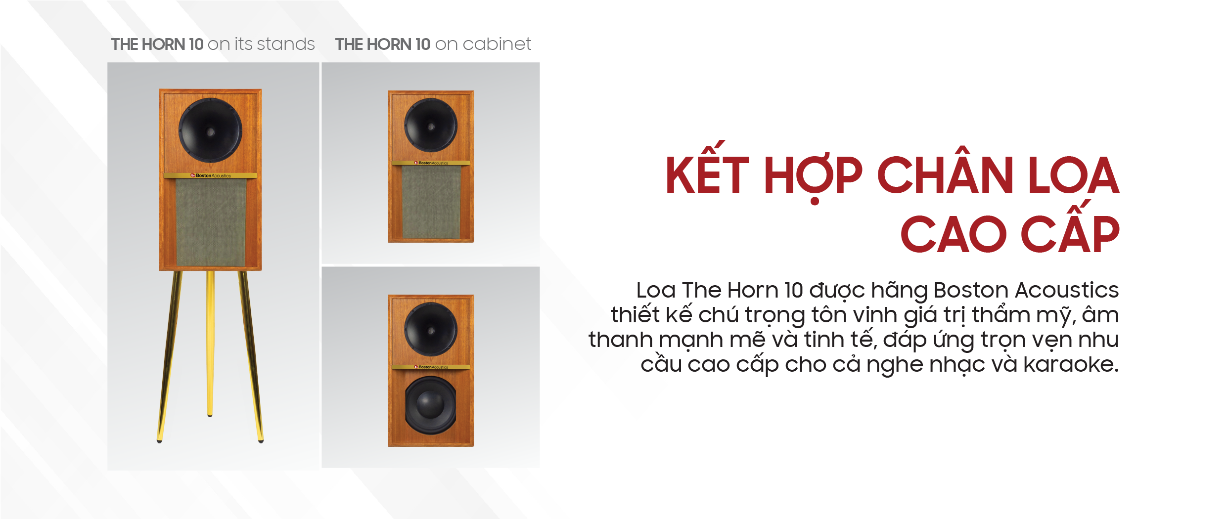 Loa Boston Acoustics The Horn 10 13