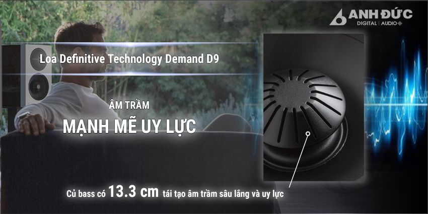 Loa Definitive Technology Demand D9 13
